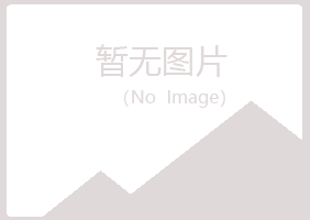 黑山县从彤咨询有限公司